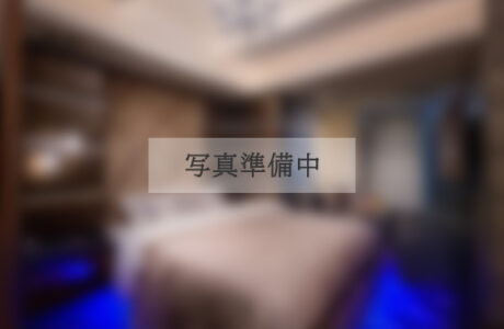 Type E – Eタイプ